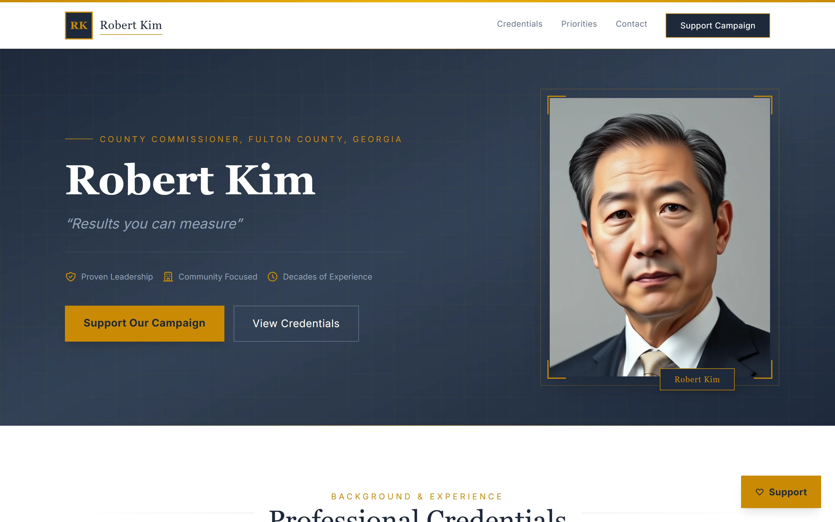 Professional template - desktop view